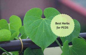 Ayurvedic syrup for pcos ayurvedic tonic for pcos