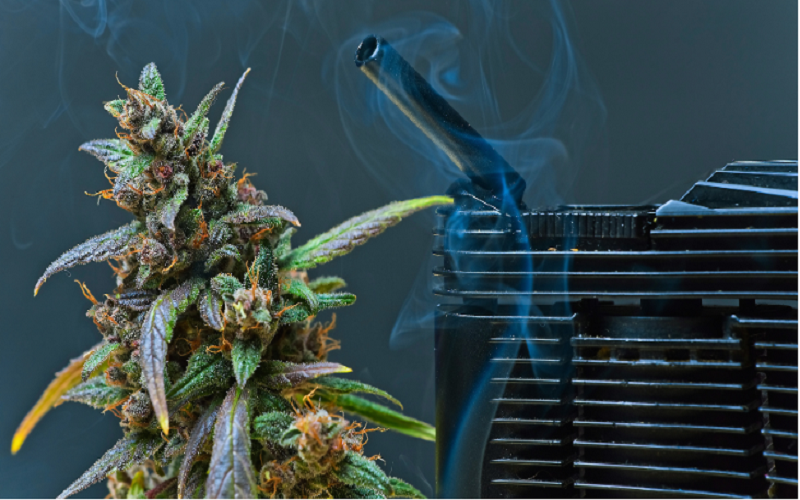 Medical Grade Cannabis